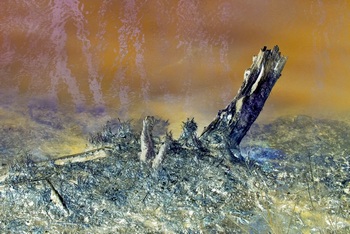 L 015B